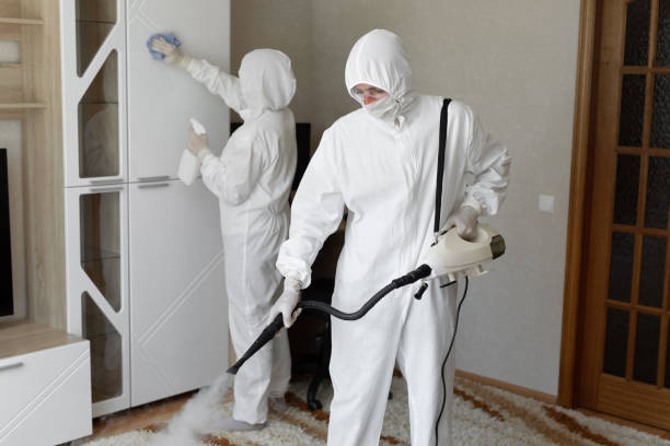 Professional Mold Removal in Rice, TX